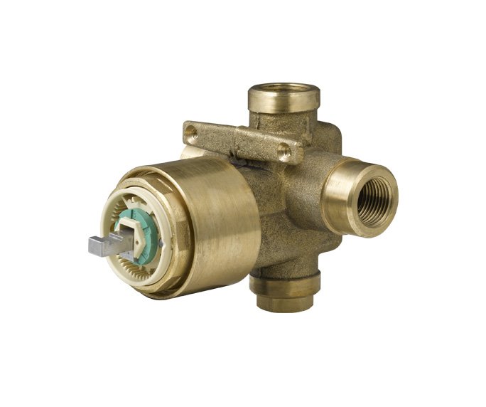 גוף פנימי 3 202582