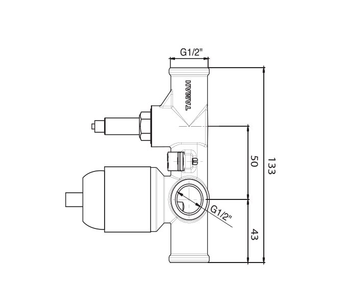 גוף פנימי 4 201677 diagram